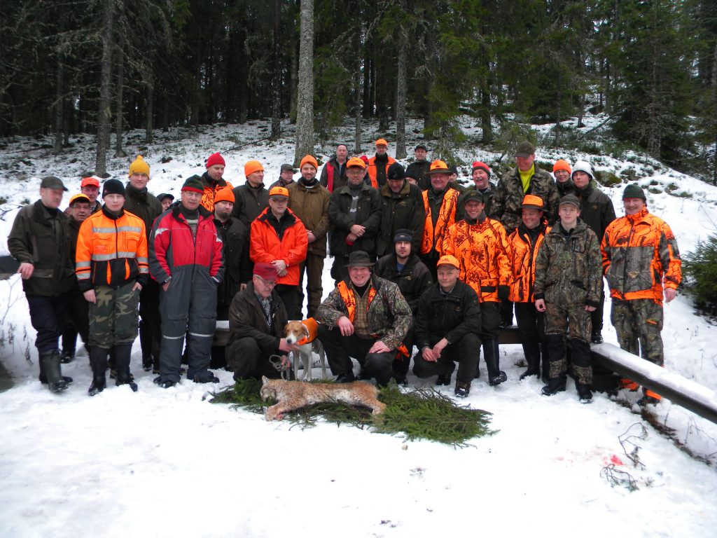 Ilvesjahti 8.2.2014